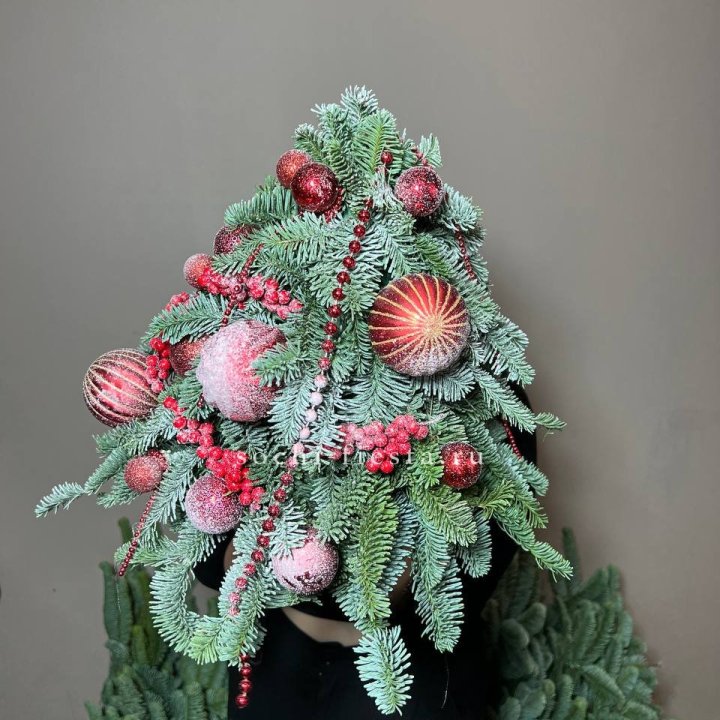 Ёлка красная в Астрахани