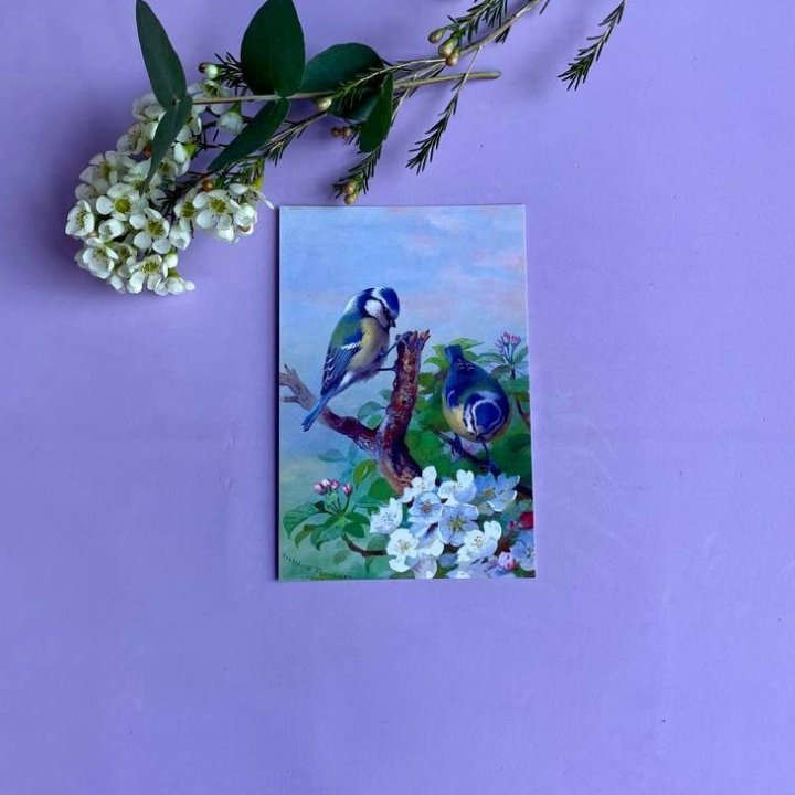 Открытка к букету "Птицы" в Астрахани