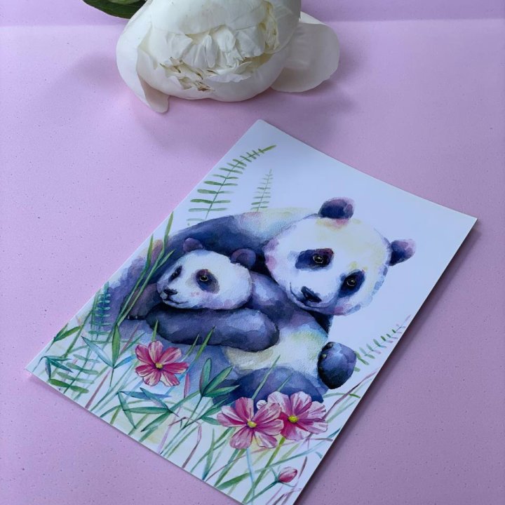 Открытка к букету "Объятие Панды" в Астрахани