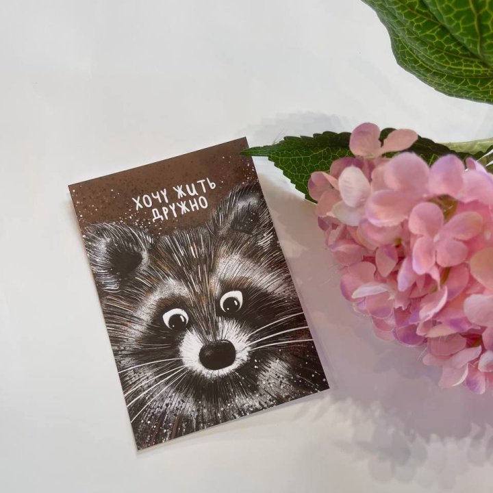 Открытка к букету "Енотик" в Астрахани