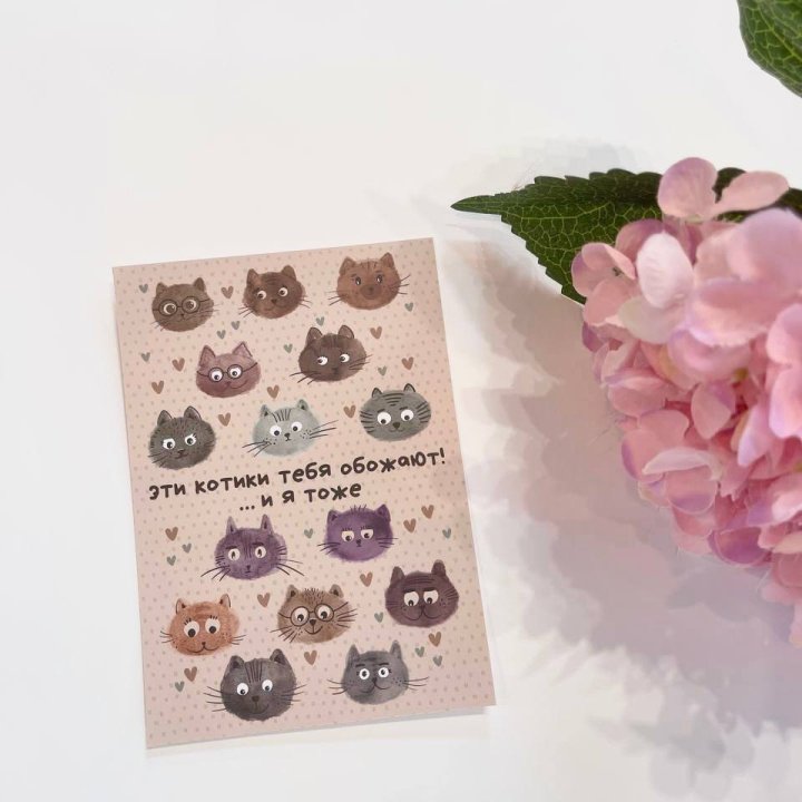 Открытка к букету "Котики" в Астрахани