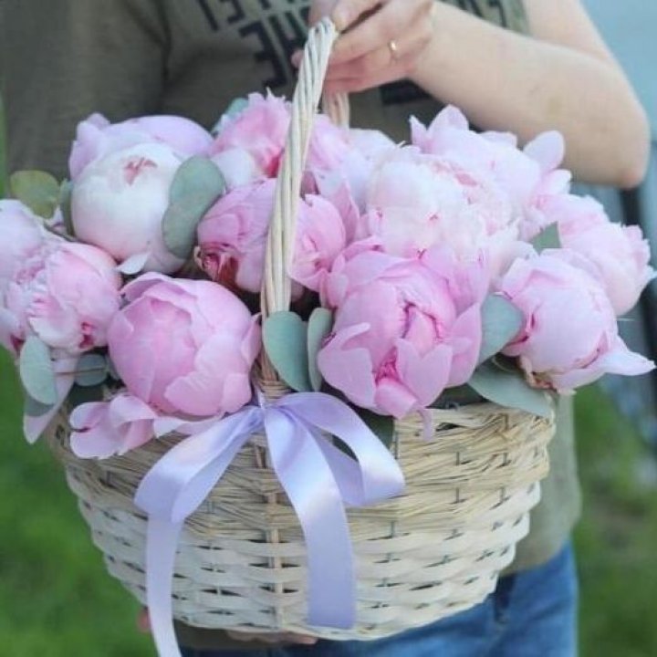 15 пионов в корзине в Астрахани