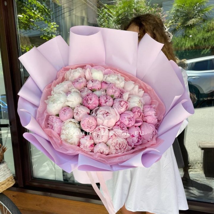 51 розовый пион в Астрахани