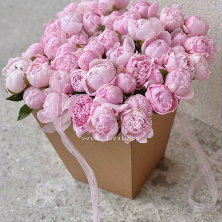 49 пионов в крафт коробке в Астрахани