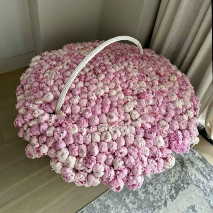 Корзина 555 пионов в Астрахани