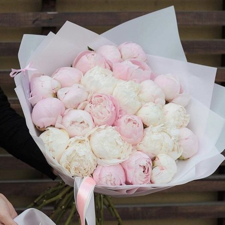 29 пионов в Астрахани