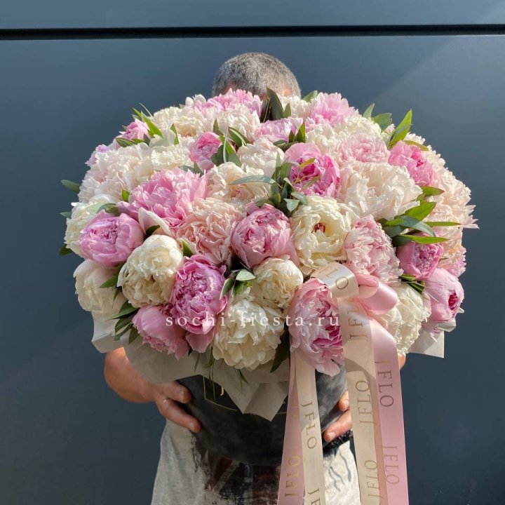 51 пионов в боксе в Астрахани