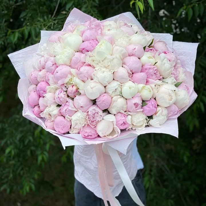 101 пион в Астрахани