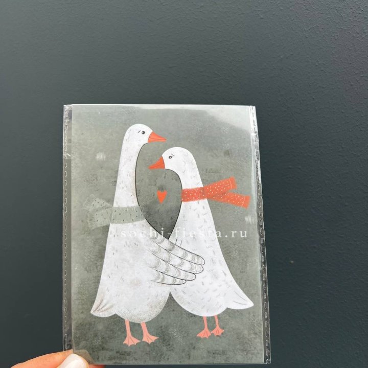 Открытка к букету "Гуси” в Астрахани