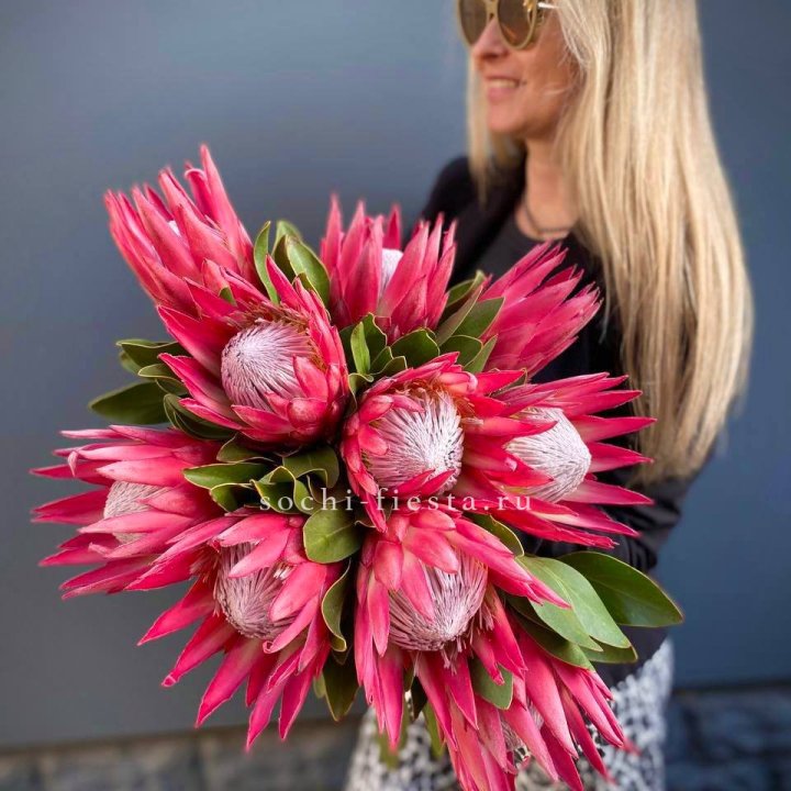 Протея штучно в Астрахани