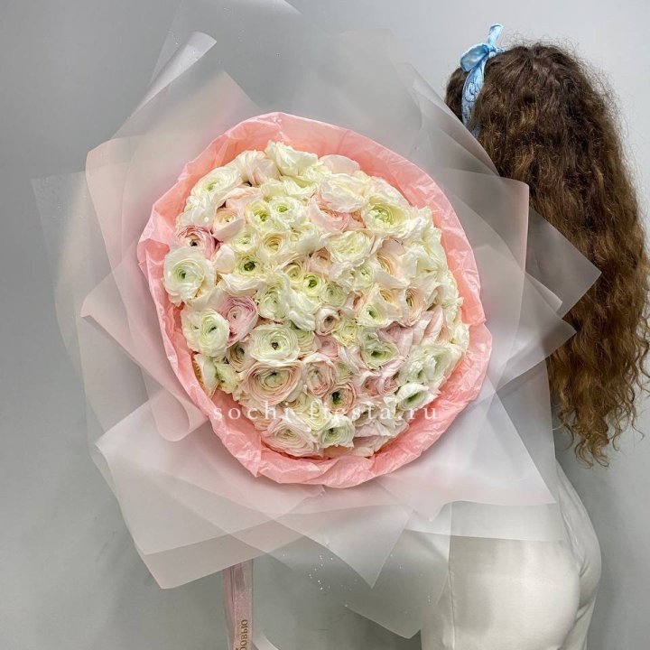 113 ранункулюсов  в Астрахани