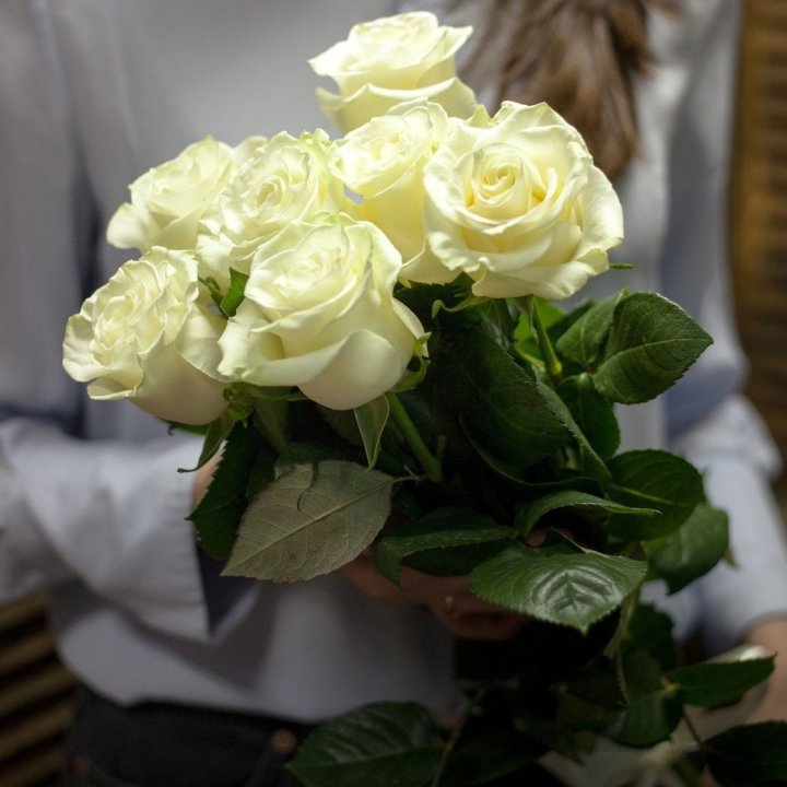 7 белых роз в Астрахани