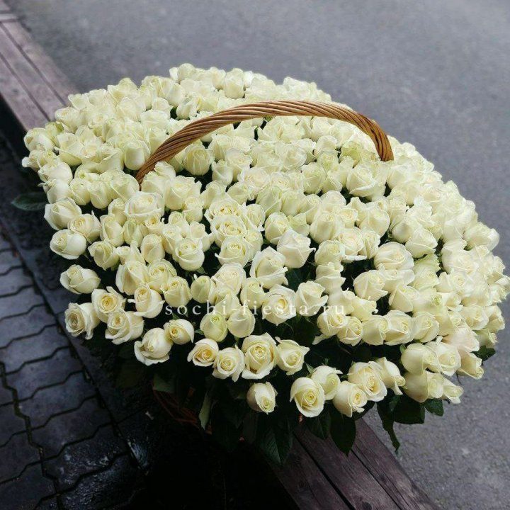 303 розы в корзине в Астрахани