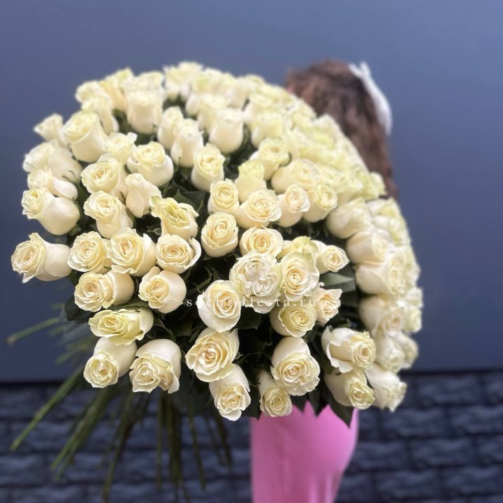 101 белая высокая импортная роза под ленту в Астрахани