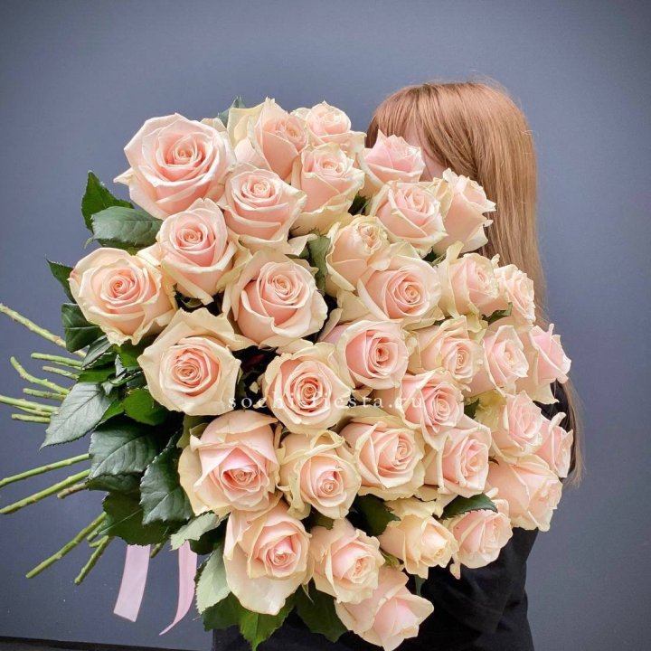 35 кремовых высоких роз в Астрахани