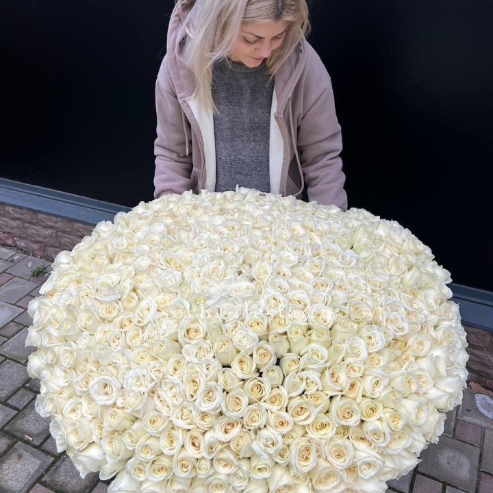 501 белая роза в корзине в Астрахани