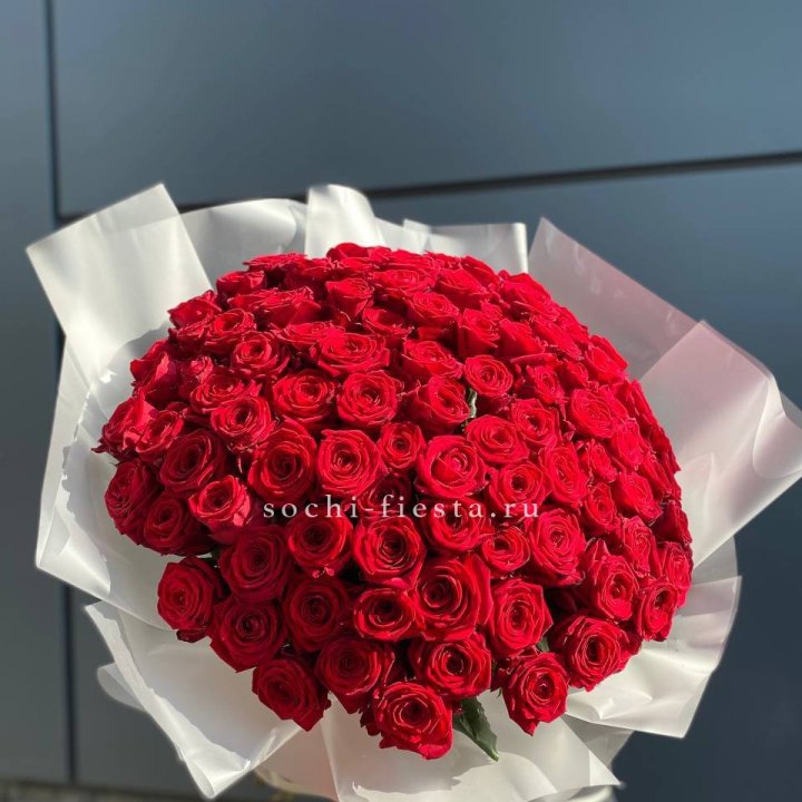 101 высокая роза в Астрахани