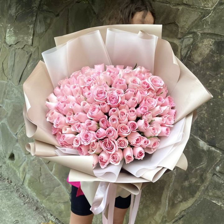 101 нежно-розовая роза Каролина  в Астрахани