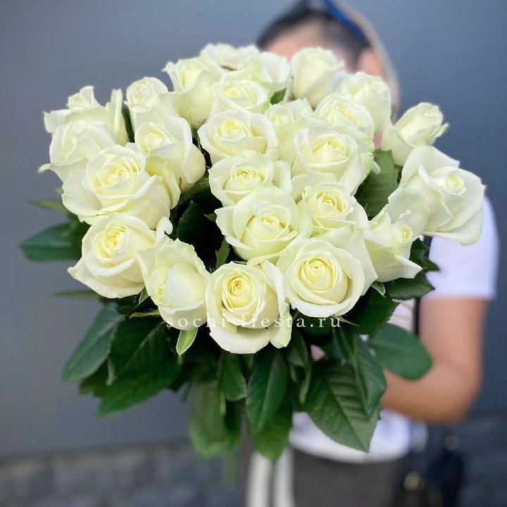 Голландские розы белые 25 в Астрахани