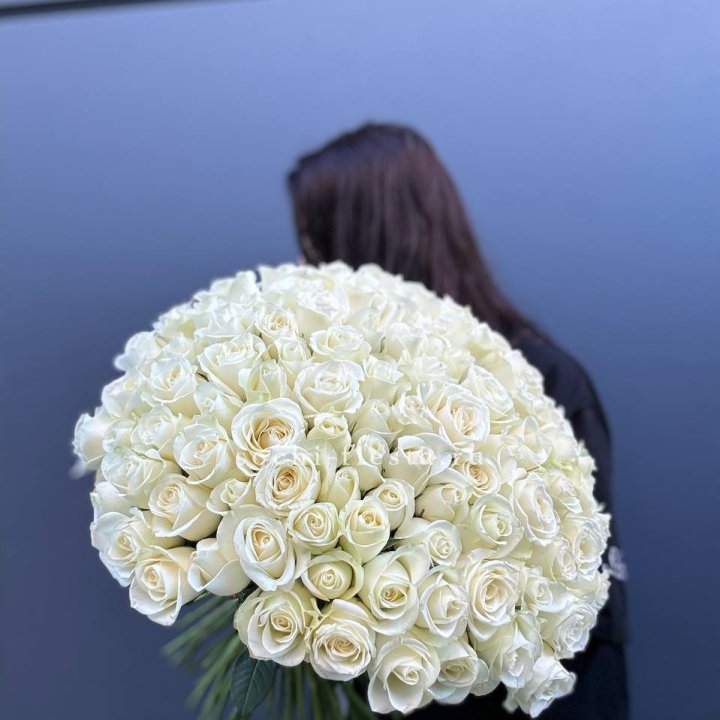 Охапка из 101 белой розы  в Астрахани