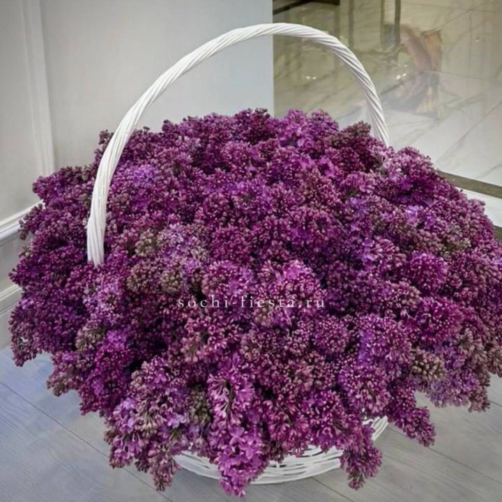 Корзина сирени в Астрахани