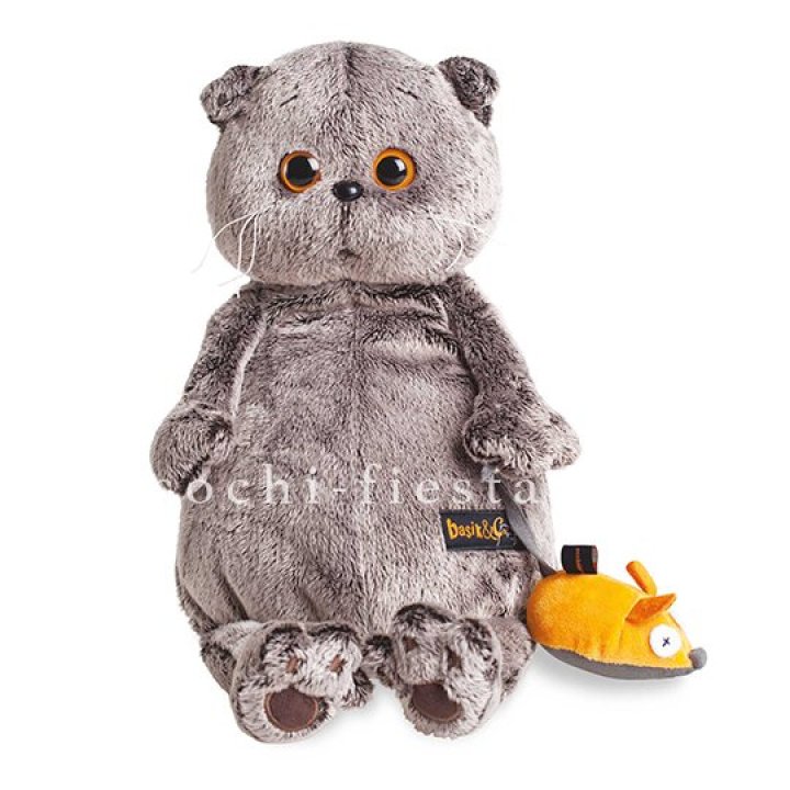 Кот Басик с мышкой в Астрахани