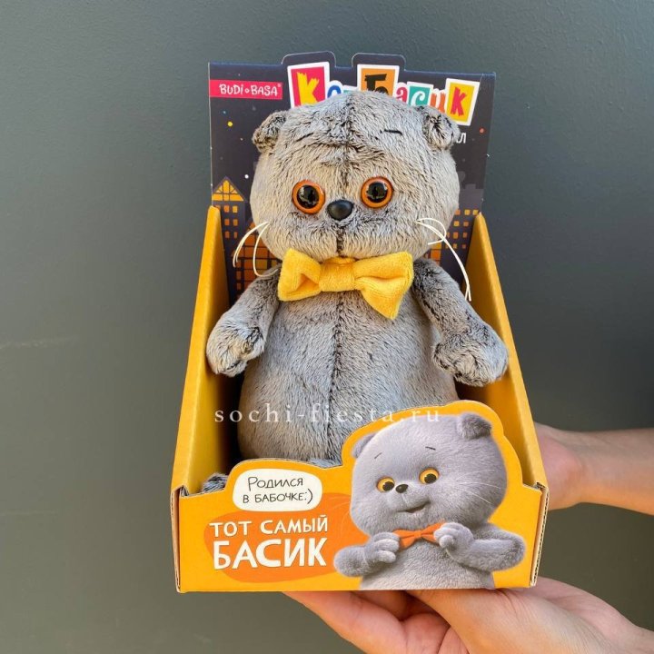 Кот Басик с бабочкой в Астрахани