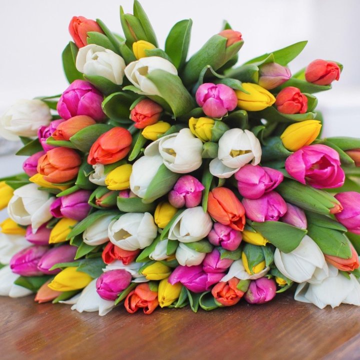 79 тюльпанов "Рандом" в Астрахани