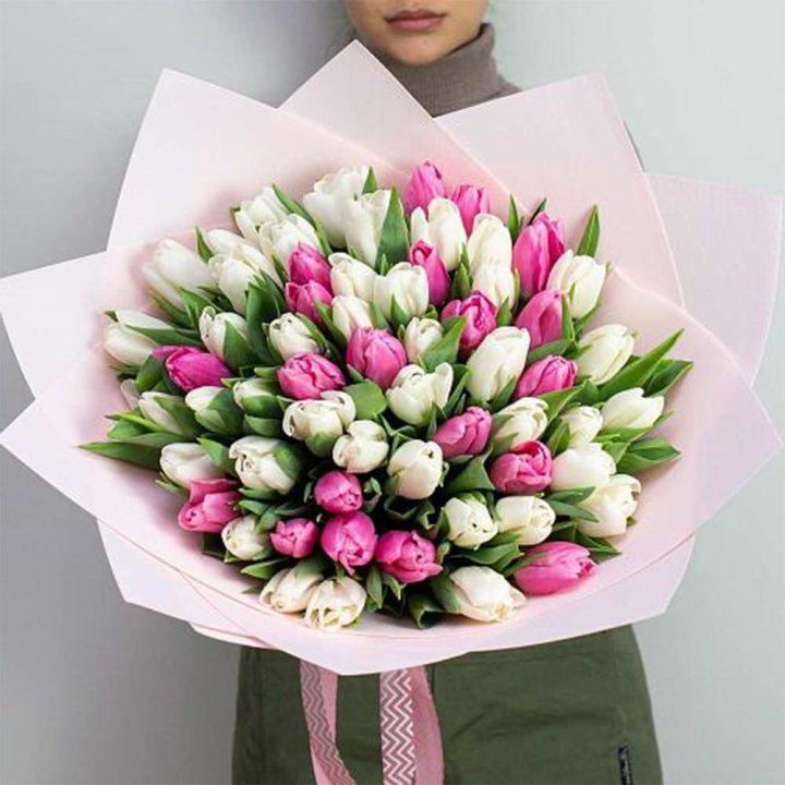 61 бело-розовый тюльпан в Астрахани