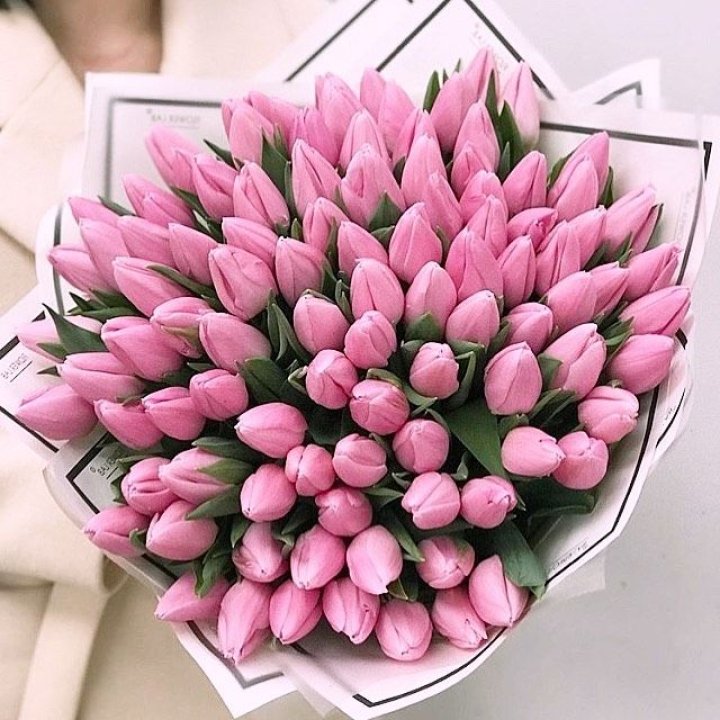 101 розовый тюльпан в белом в Астрахани