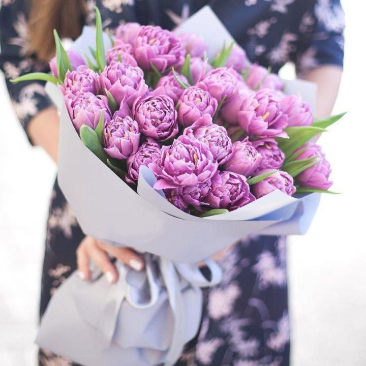 Тюльпаны "Пионс" в Астрахани