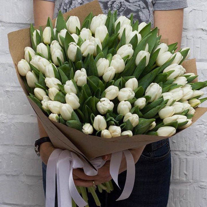 101 тюльпан сноу в Астрахани