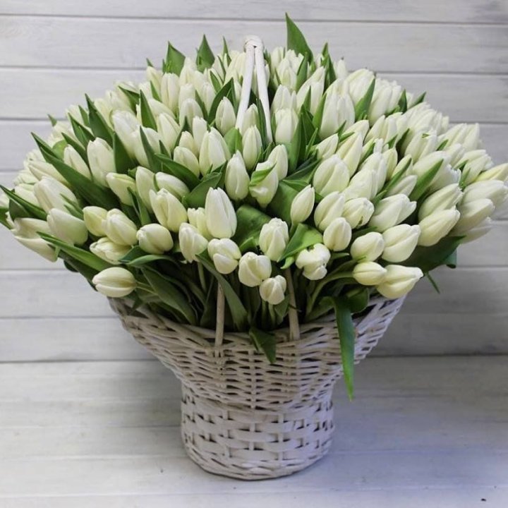 Корзина из 151 тюльпана в Астрахани