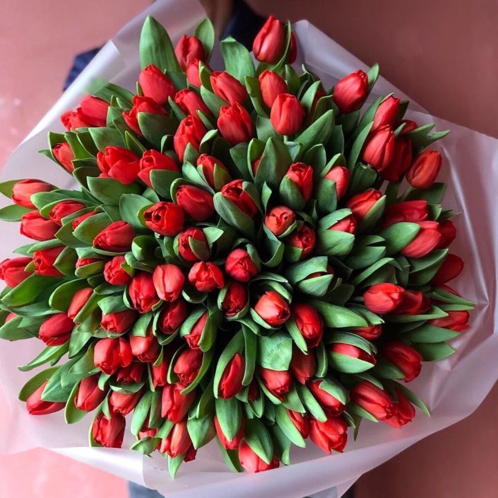 101 красный тюльпан в Астрахани